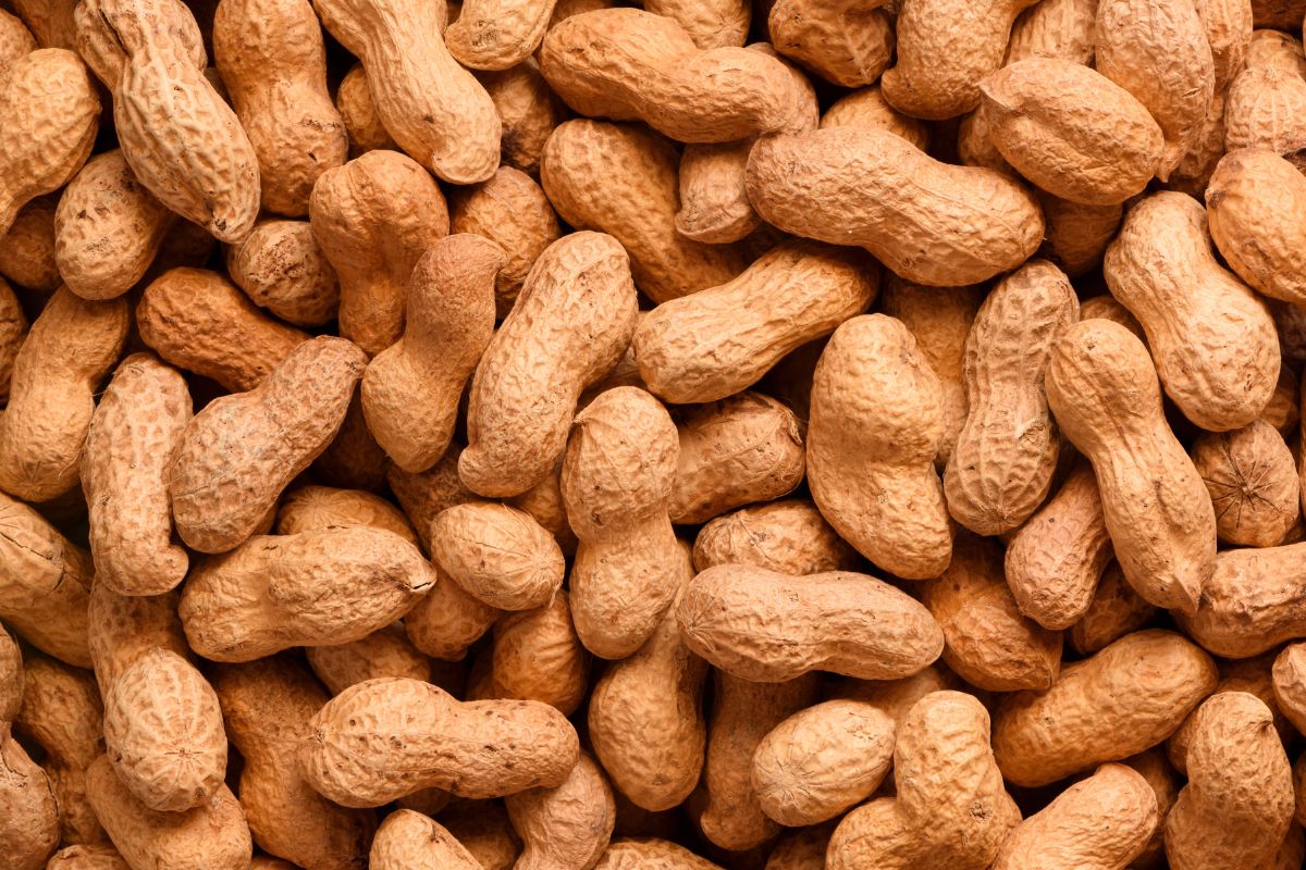 UpTerra Peanut Case Study Img