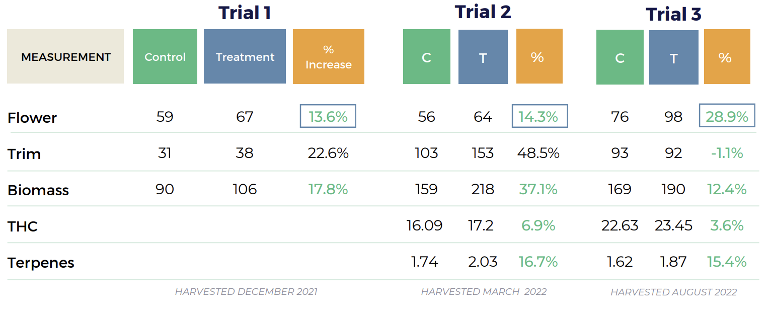 Indoor Cannabis Trial Results Charts