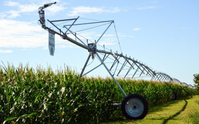 Optimizing Corn Irrigation: Tools and Tips for Better Water Management