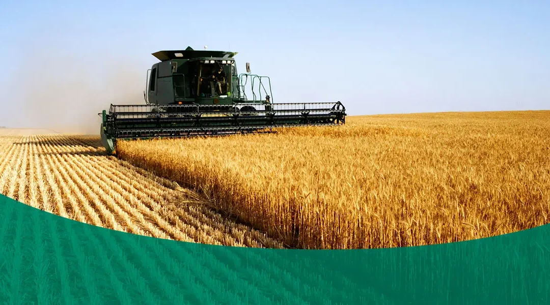 6 Smart Strategies to Increase Crop Yields Without Breaking the Bank