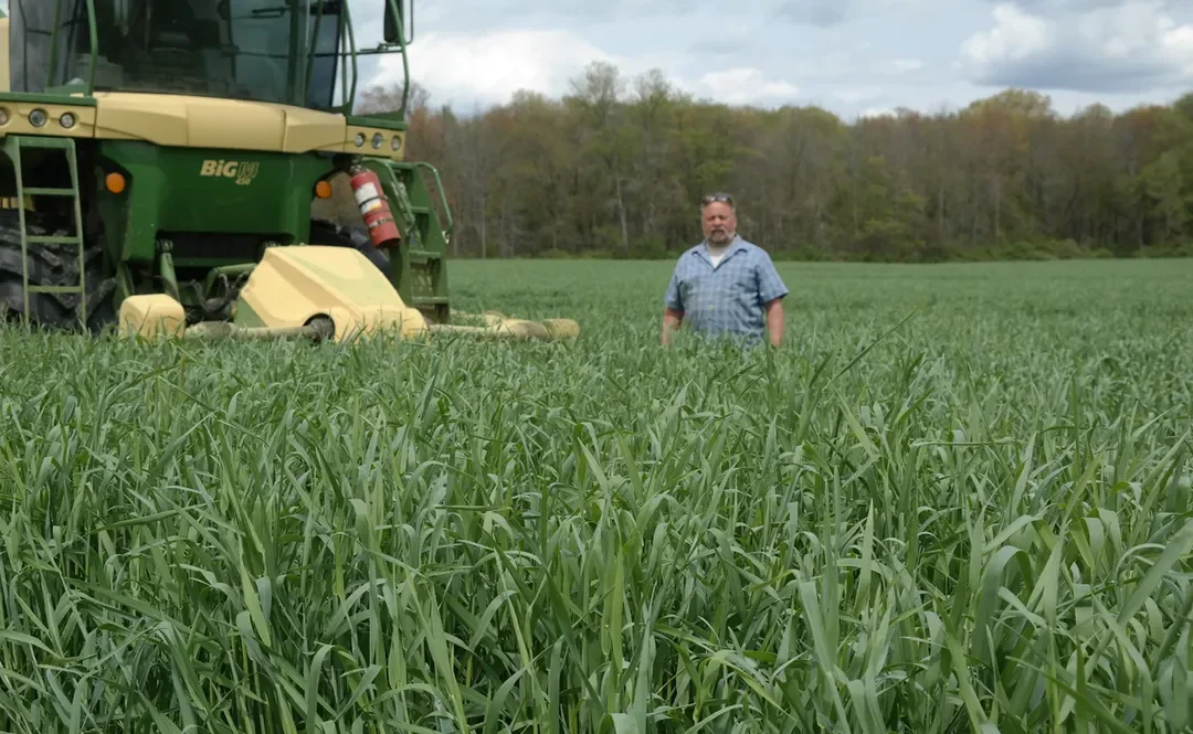 Smart Irrigation Tips for Triticale Growers – TerraFlow