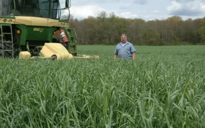 Smart Irrigation Tips for Triticale Growers – TerraFlow