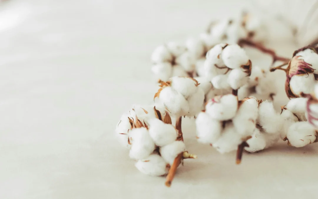 Cotton Trial Results